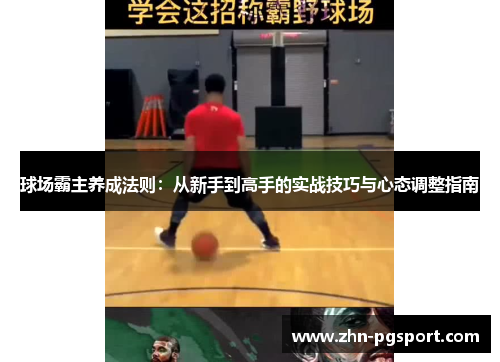 球场霸主养成法则：从新手到高手的实战技巧与心态调整指南