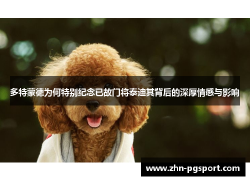 多特蒙德为何特别纪念已故门将泰迪其背后的深厚情感与影响