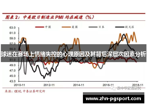 球迷在赛场上情绪失控的心理原因及其背后深层次因素分析