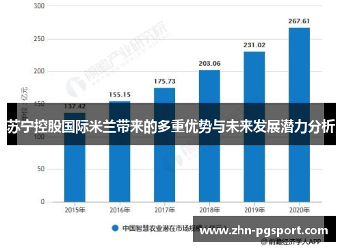 苏宁控股国际米兰带来的多重优势与未来发展潜力分析