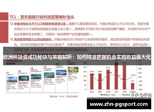欧洲杯投资成功秘诀与策略解析：如何精准把握机会实现收益最大化
