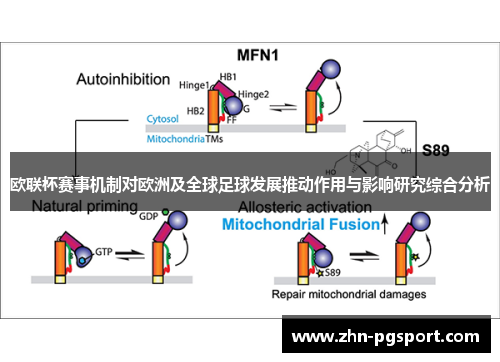 欧联杯赛事机制对欧洲及全球足球发展推动作用与影响研究综合分析